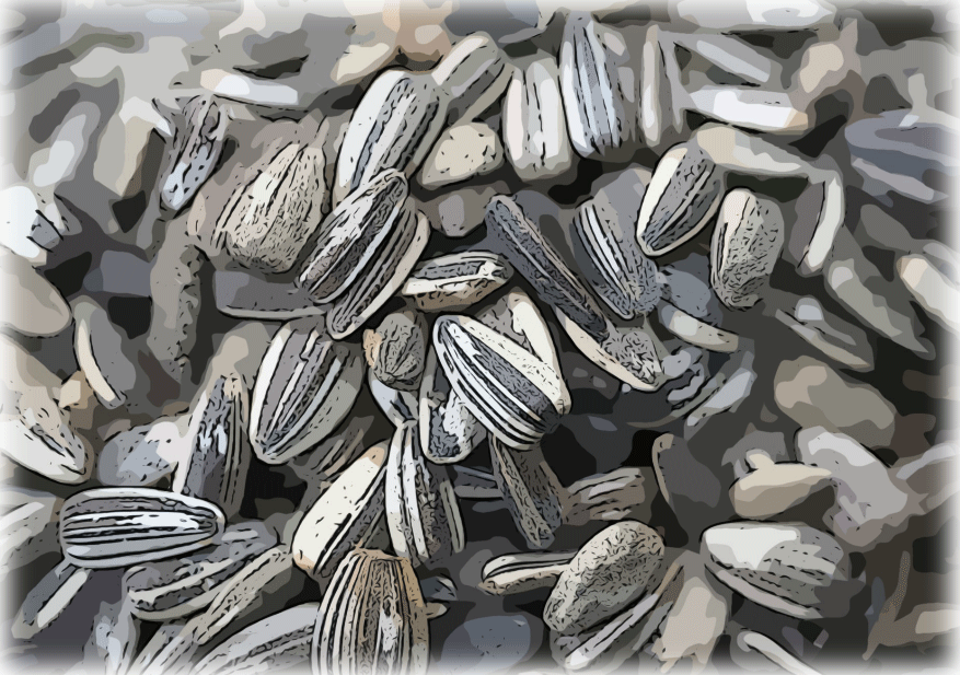 seeds
