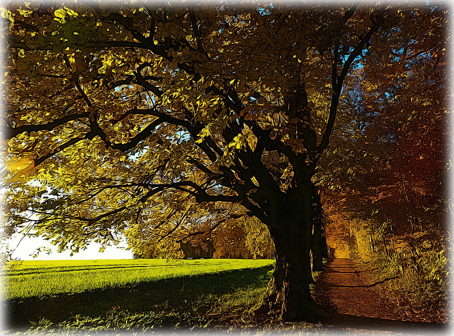 tree